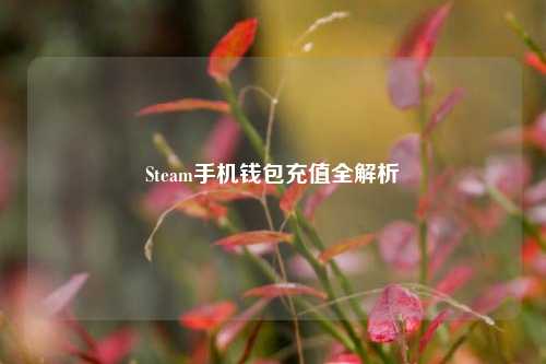 Steam手机钱包充值全解析