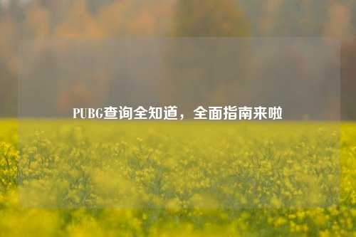 PUBG查询全知道,全面指南来啦 PUBG查询全知道,全面指南来啦