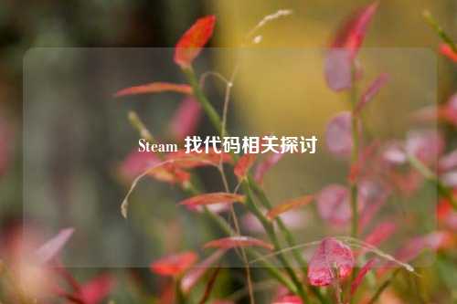 Steam 找代码相关探讨 Steam 找代码相关探讨