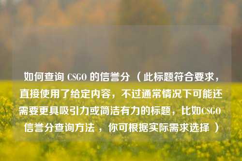 如何查询 CSGO 的信誉分 (此标题符合要求,直接使用了给定内容,不过通常情况下可能还需要更具吸引力或简洁有力的标题,比如CSGO 信誉分查询方法 ,你可根据实际需求选择 )
