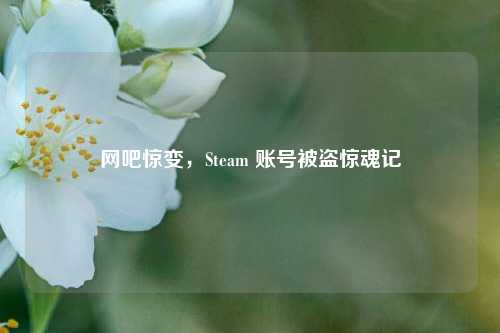 网吧惊变,Steam 账号被盗惊魂记 网吧惊变,Steam 账号被盗惊魂记