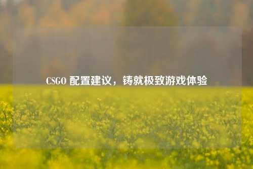 CSGO 配置建议，铸就极致游戏体验