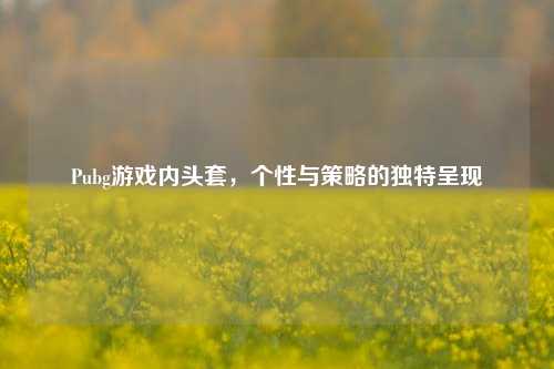 Pubg游戏内头套，个性与策略的独特呈现