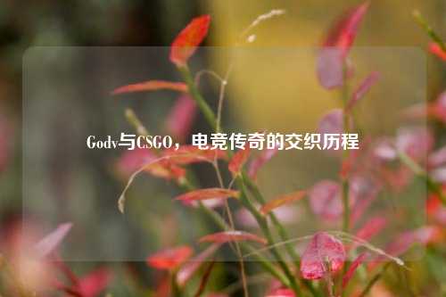 Godv与CSGO，电竞传奇的交织历程
