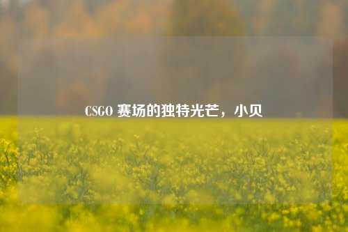 CSGO 赛场的独特光芒，小贝