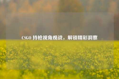 CSGO 持枪视角观战，解锁精彩洞察