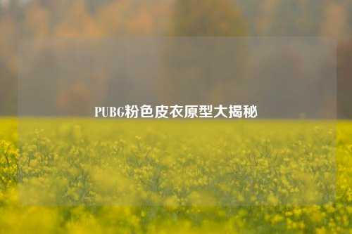 PUBG粉色皮衣原型大揭秘
