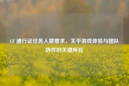 CF 通行证任务人数要求，关乎游戏体验与团队协作的关键所在