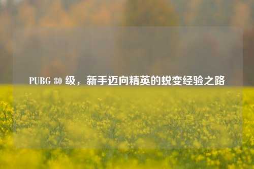 PUBG 80 级，新手迈向精英的蜕变经验之路