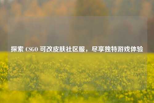 探索 CSGO 可改皮肤社区服，尽享独特游戏体验
