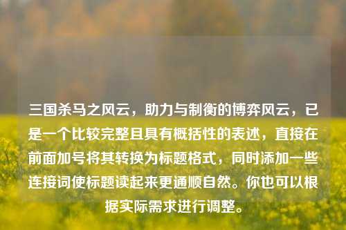 三国杀马之风云,助力与制衡的博弈风云,已是一个比较完整且具有概括性的表述,直接在前面加号将其转换为标题格式,同时添加一些连接词使标题读起来更通顺自然。你也可以根据实际需求进行调整。