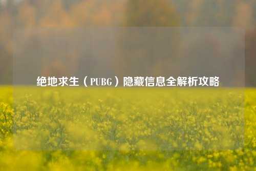 绝地求生(PUBG)隐藏信息全解析攻略