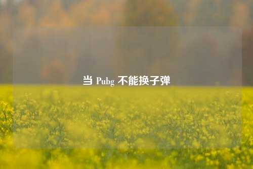 当 Pubg 不能换子弹