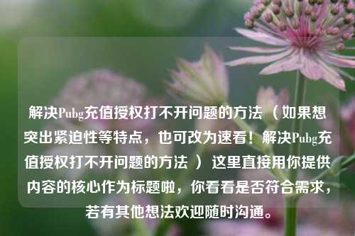 解决Pubg充值授权打不开问题的方法 (如果想突出紧迫性等特点,也可改为速看!解决Pubg充值授权打不开问题的方法 ) 这里直接用你提供内容的核心作为标题啦,你看看是否符合需求,若有其他想法欢迎随时沟通。