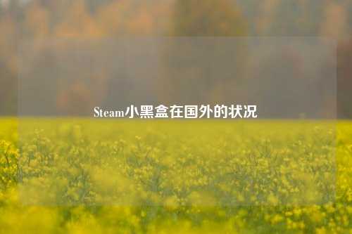Steam小黑盒在国外的状况