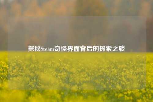 探秘Steam奇怪界面背后的探索之旅