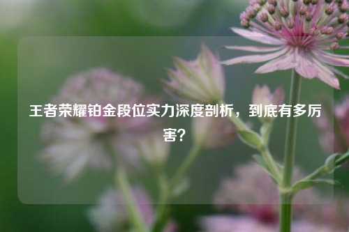 王者荣耀铂金段位实力深度剖析，到底有多厉害？
