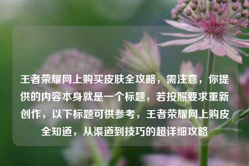 王者荣耀网上购买皮肤全攻略,需注意,你提供的内容本身就是一个标题,若按照要求重新创作,以下标题可供参考,王者荣耀网上购皮全知道,从渠道到技巧的超详细攻略
