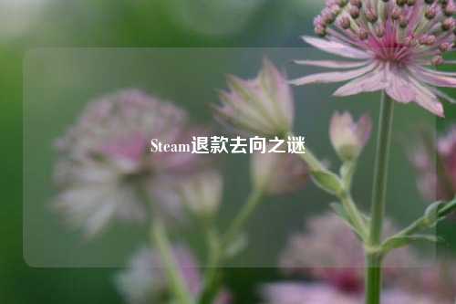 Steam退款去向之谜