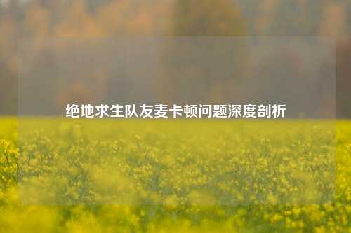 绝地求生队友麦卡顿问题深度剖析