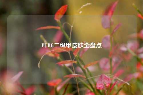 PUBG二级甲皮肤全盘点