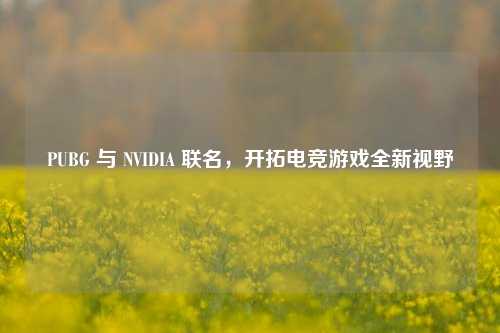 PUBG 与 NVIDIA 联名，开拓电竞游戏全新视野