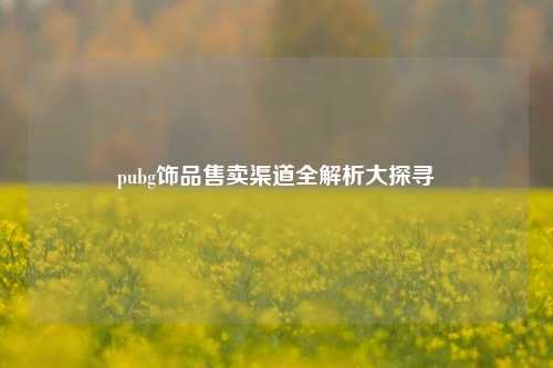 pubg饰品售卖渠道全解析大探寻