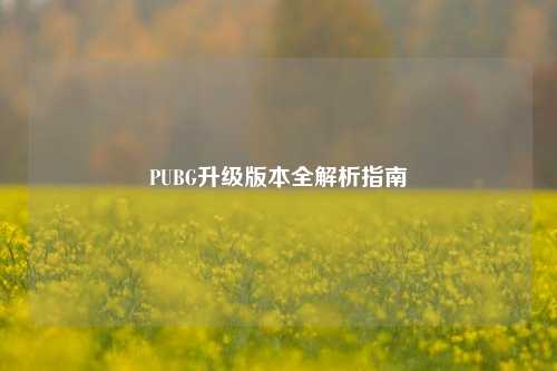PUBG升级版本全解析指南