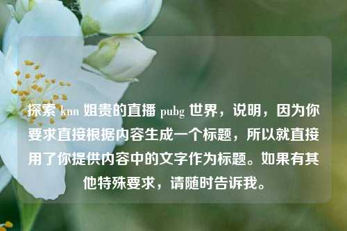 探索 knn 姐贵的直播 pubg 世界,说明,因为你要求直接根据内容生成一个标题,所以就直接用了你提供内容中的文字作为标题。如果有其他特殊要求,请随时告诉我。