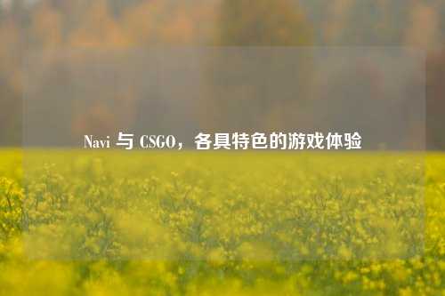 Navi 与 CSGO,各具特色的游戏体验