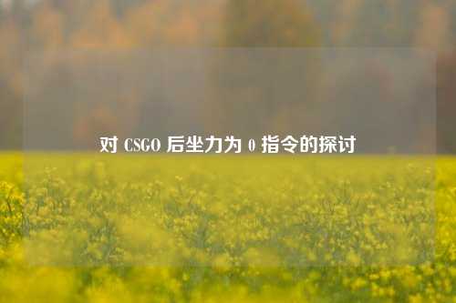 对 CSGO 后坐力为 0 指令的探讨