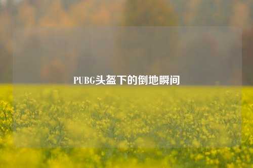 PUBG头盔下的倒地瞬间