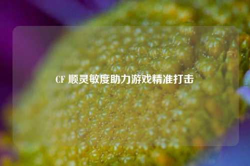 CF 顺灵敏度助力游戏精准打击