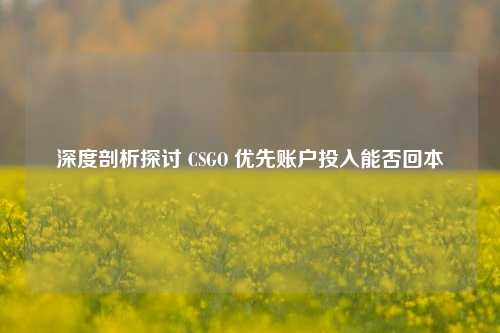 深度剖析探讨 CSGO 优先账户投入能否回本