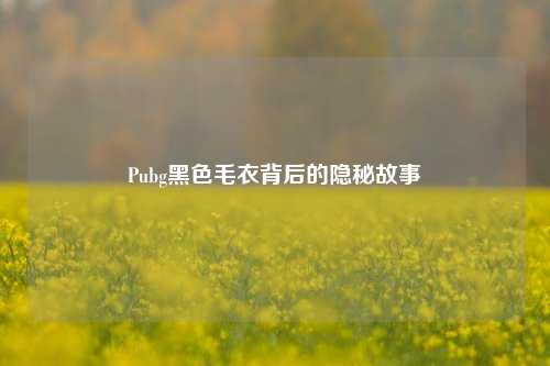 Pubg黑色毛衣背后的隐秘故事