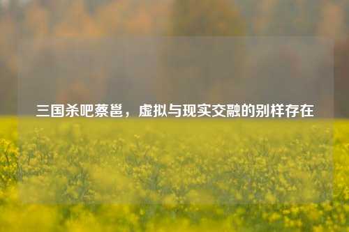 三国杀吧蔡邕，虚拟与现实交融的别样存在