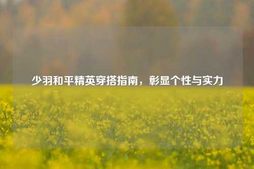 少羽和平精英穿搭指南，彰显个性与实力