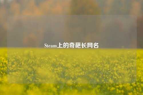Steam上的奇葩长网名