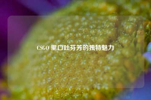 CSGO 里口吐芬芳的独特魅力