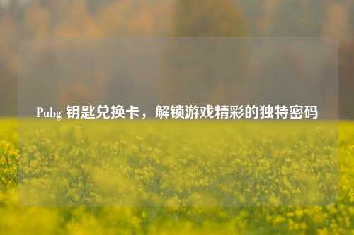 Pubg 钥匙兑换卡,解锁游戏精彩的独特密码