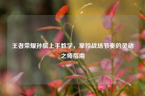 王者荣耀孙膑上手教学，掌控战场节奏的灵动之师指南